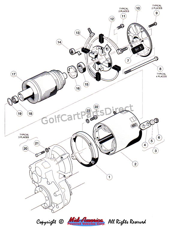 Motor - 36V