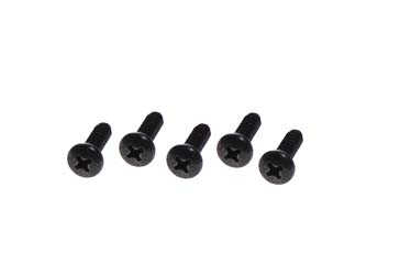N-8016 - SCREW, FRONT BUMPER MOUNTING, EZ RXV